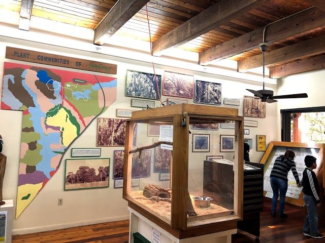 Fern Forest Nature Center